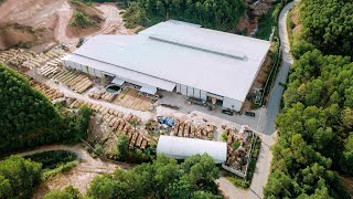 WEEGO  Plywood Factory in Quang Binh Province Vietnam [upl. by Attikin]