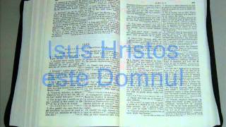 29  IOEL  Vechiul Testament  Biblia Audio Romana [upl. by Platas957]