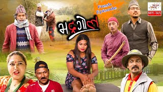 Bhadragol  Episode251  May 012020  Comedy Video  By Media Hub Official Channel [upl. by Boote]