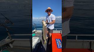 Beautiful Big Jewy  Gold Coast Fishing [upl. by Cronin]