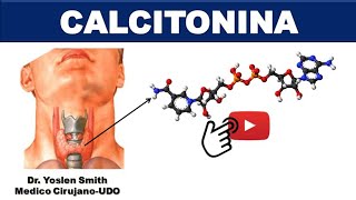 Metabolismo del Calcio y Fósforo 🧪  Todo lo que necesitas saber [upl. by Yirinec]