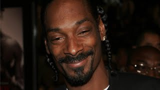 Snoop Dogg Arrested for Conspiracy After Talking About Murder Trump Video [upl. by Ahsiek]