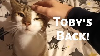 Tobys Back [upl. by Bibah]