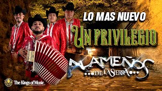 Un privilegio alameños de la sierra [upl. by Allecram]