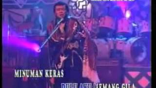 Rhoma Irama  Mirasantika  Karaoke No Vocal [upl. by Emoraj665]