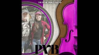 The Pink Violin Band quotLIVEquot Leighs Garden Winery 2024 [upl. by Nnyliram]