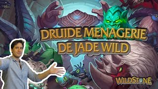 DRUIDE SAUVAGE JADE DE LA MENAGERIE Wild Fr Hearthstone [upl. by Ariday]