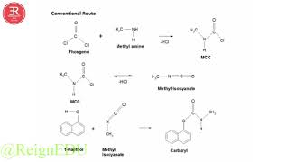 Synthesis of Carbaryl   2018  August   ReignEdu NCERTSeries 10Class 19 [upl. by Takeo]