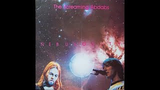 The Screaming Abdabs quotNEBULOSITYquot 1971 72 vinyl [upl. by Lukas595]