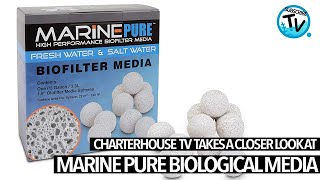 Charterhouse TV take a look at MarinePure Bio Media [upl. by Mitchael286]