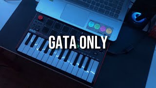 Gata Only  FloyyMenor Cris MJ  Midi Cover [upl. by Airehtfele26]