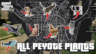 GTA 5  All 27 Peyote Plants Location Guide  Play as an animal [upl. by Gennifer635]