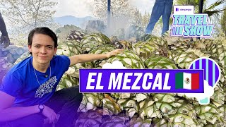 Así se hace el Mezcal en MÉXICO 🇲🇽 [upl. by Kara-Lynn758]