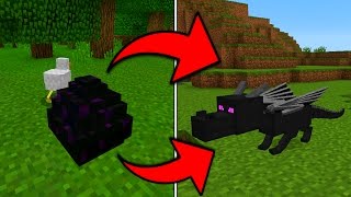 How To Hatch the Ender Dragon Egg in Minecraft Pocket Edition 10 [upl. by Shirl]