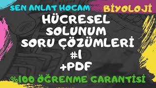 HÜCRESEL SOLUNUM SORU ÇÖZÜMLERİ 1  FERMANTASYONOKSİJENLİ SOLUNUM SORU ÇÖZÜMLERİ  PDF ✅ [upl. by Htebzil965]