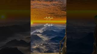 Allah the best creator and planner Allah muslim fact [upl. by Lois371]