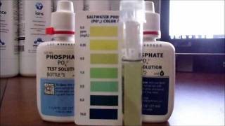 How to Test Phosphates Episode in a Saltwater Reef Tank 16 pt 3 [upl. by Morey]