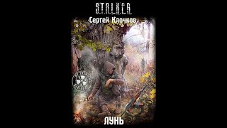 Лунь STALKER  Часть первая аудиокнига сталкер [upl. by Page]