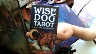 wise dog tarot deck review [upl. by Horner286]