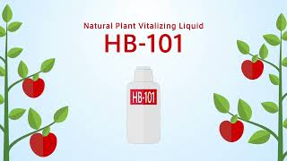 HB101 Natural Plant Vitalizer 50ml Organic amp NonToxic [upl. by Tabitha131]