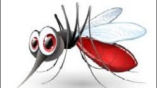 കൊതുകിനെ കൊല്ലണ്ട രീതി mosquito how to kill mosquito [upl. by Drucy]