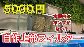 「水槽内にポンプがない」5000円でつくった自作上部濾過 [upl. by Asilak]