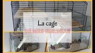 ➳ La cage de mes gerbilles  CAGESENVIRONNEMENT [upl. by Sager686]