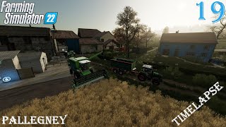 🐄 Feeding the Cows 🥛 and 🌾 Harvesting Wheat 🚜  Farming Simulator 22 🎮  Pallegney  Episode 19 🎉 [upl. by Ecarret617]