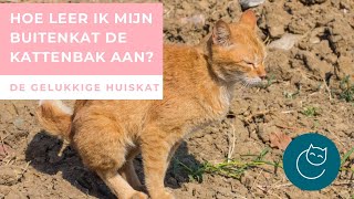 HOE LEER IK MIJN BUITENKAT AAN OM OP DE KATTENBAK TE GAAN  De gelukkige huiskat  kattengedrag [upl. by Dituri]