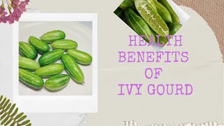 Health Benefits of Ivy gourd [upl. by Eldrid657]