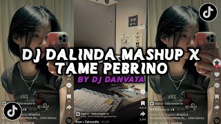 DJ OH SAYANG DALINDA MASHUP X TAME PEBRINO BY DJ DAVANTA [upl. by Fidellia]