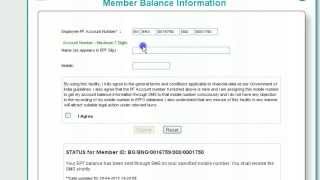 How to Check PF Balance Online EPFO Account Details  bse2nse com [upl. by Susette]