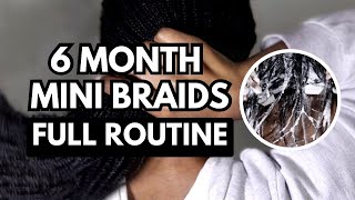 NEW HAIR GROWTH CHALLENGE  6 Month Mini Braids  Natural Hair  South African YouTuber [upl. by Essirahs]