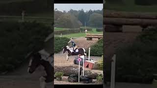 Arena eventing horse equestrain horseriding equestrainlife [upl. by Boone]