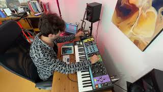 Melodic ambient jam with Moog Matriarch Strymon Nightsky and OP1field [upl. by Osana]