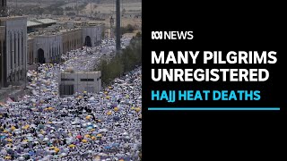 Egypt cracks down on dodgy operators after hundreds of hajj pilgrimage deaths  ABC News [upl. by Ahsital]