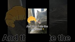 croissant meme funnycats funnypet [upl. by Aluor]