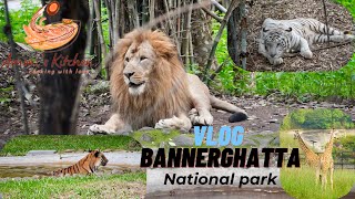 Bannerghatta National Park Safari Vlog Part 1  Wildlife Safari sanctuary Park  Travel vlog [upl. by Ail]