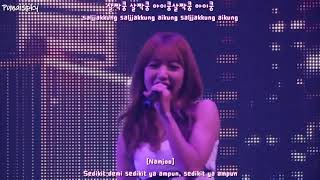 LIVEApink에이핑크   Cat Indo SubPunaispky [upl. by Mosra248]