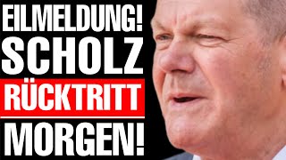 💥EILMELDUNG ALTPARTEIEN ZERSTÖREN SCHOLZ  AfD EXPLODIERT MASSIV💥 [upl. by Waldack73]