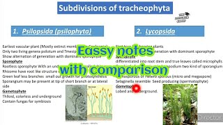 psilopsida and lycopsida  subdivision of tracheophyta class 11  urdu hindi [upl. by Bowne572]