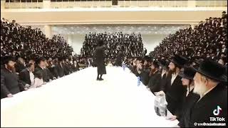 R’ Elimelech Biderman gig [upl. by Munshi119]