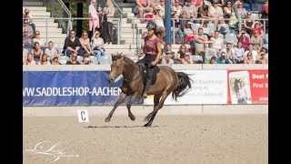 Mustang Makeover 2017  3 KürPrüfung  TanjaampNaira [upl. by Marks]