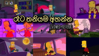 මනෝපාරකට සින්දු slowedreverb  manoparakata sinhala songs [upl. by Odradlig]