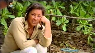 Expeditie robinson 2004 Aflevering 5 [upl. by Terti]