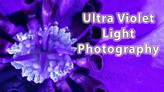 Photography with UV Light 4K [upl. by Nivlem73]