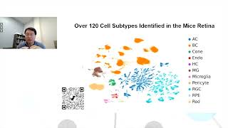 Comprehensive characterisation of the mouse retina transcriptome using longread RNA sequencing [upl. by Neened102]