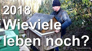 2018 welche Völker leben noch 1 Kontrolle der Bienen [upl. by Resee]