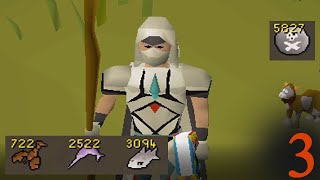 Very important Iron Man grinds  OSRS Iron Man Adventures Ep 3 [upl. by Kappel]