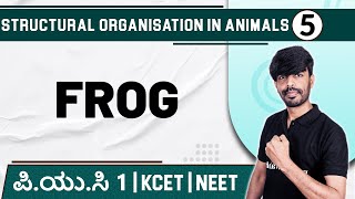 STRUCTURAL ORGANISATION IN ANIMALS  05  Frog  Zoology  PUC 1  KCET  NEET [upl. by Yeaton34]